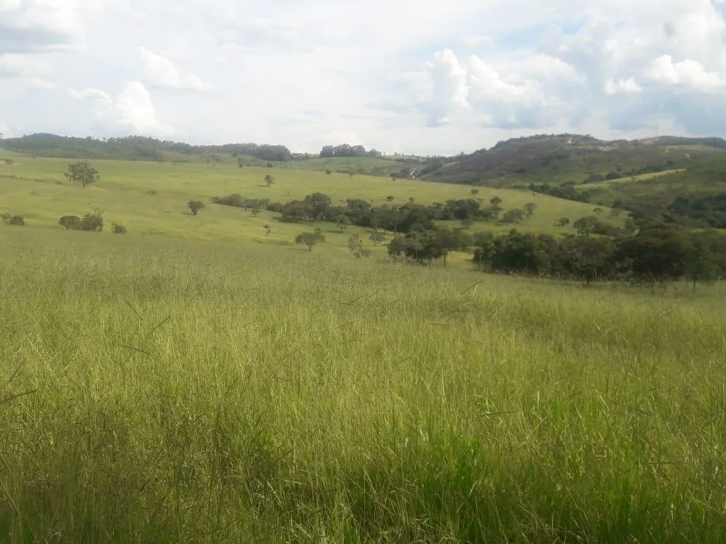 Imagem Vendo uma ótima fazenda em Passatempo 315 hectares