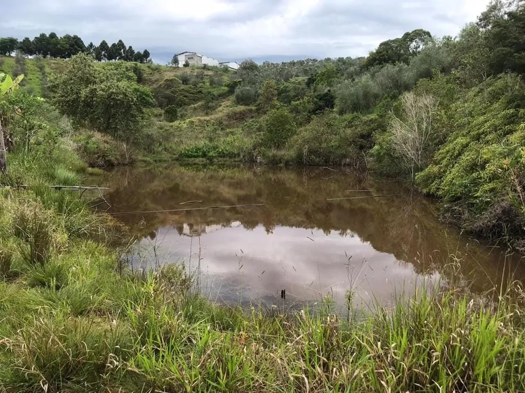 Imagem Chácara à venda Pinhal Novo, Lorena - SP