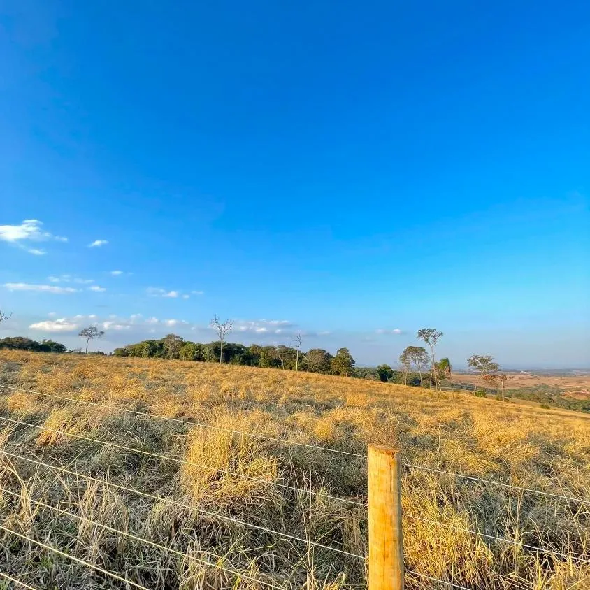 Imagem FAZENDA À VENDA | 53 HECTARES | SÃO JOSÉ DA VARGINHA/MG