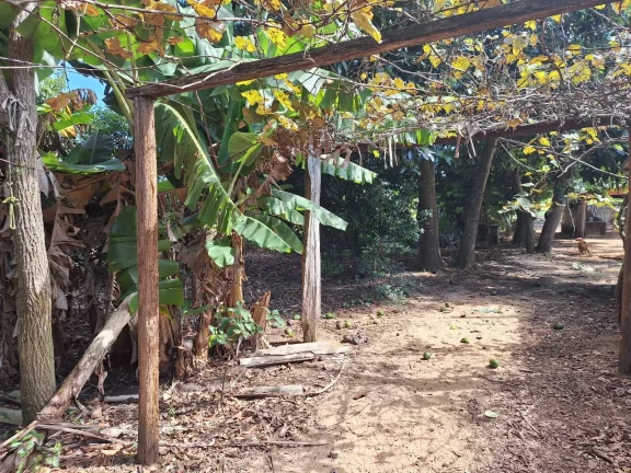 Imagem Horzem Imóveis vende sítio com 10.500m² em Boa Vista – Viamão/RS