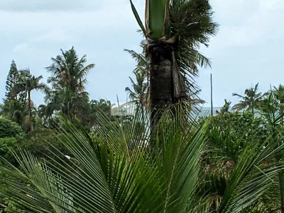 Imagem Apartamento Padrão para Venda em Enseada Guarujá-SP