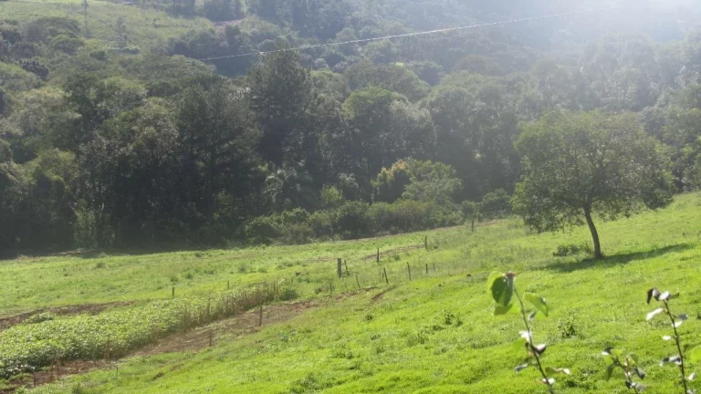 Imagem Área Agrícola para Venda em Concórdia, Interior