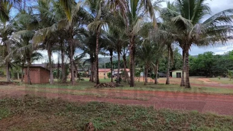 Imagem CASAL IMÓVEIS VENDE FAZENDA 4.095 ALQUEIRES - ARAGUAÍNA/TOCATINS