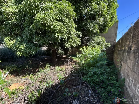 Imagem Terreno à Venda no Bairro São Francisco em Patos de Minas - 465m² para Construir a Casa dos Seus Sonhos!