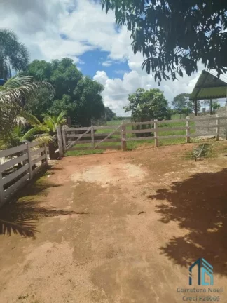 Foto do imóvel Fazenda/Sítio com 6 alqueires entre Ituaçu e Itaberaí 7 km de chão em Itaberaí em Goiânia GO