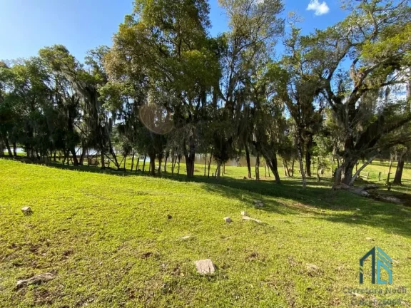 (PERMUTA) Chácara em Contenda PR, com 02 casas, estrada toda asfaltada a 20min, no Centro de Araucária.