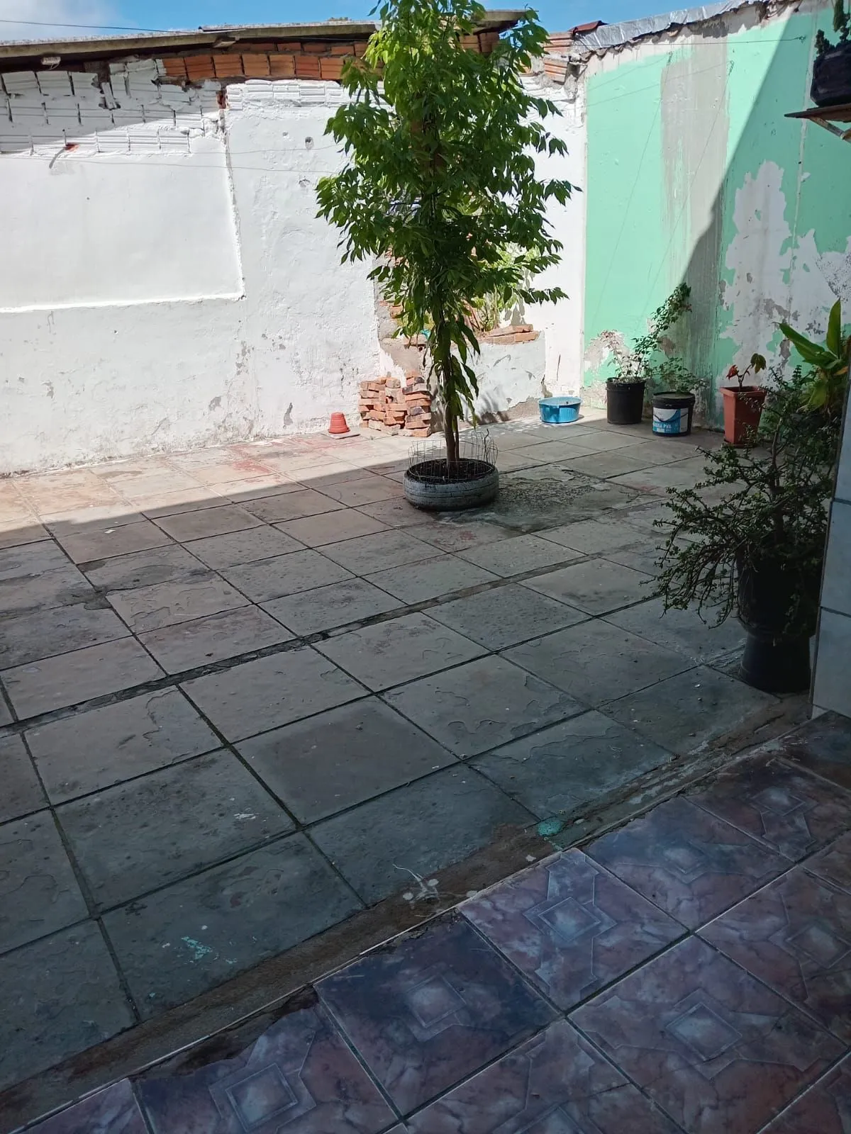 Imagem Casa em Restinga