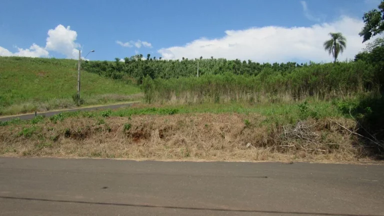 Foto do imóvel Terreno para Venda em Concórdia, Rural em Pedro Balbinot