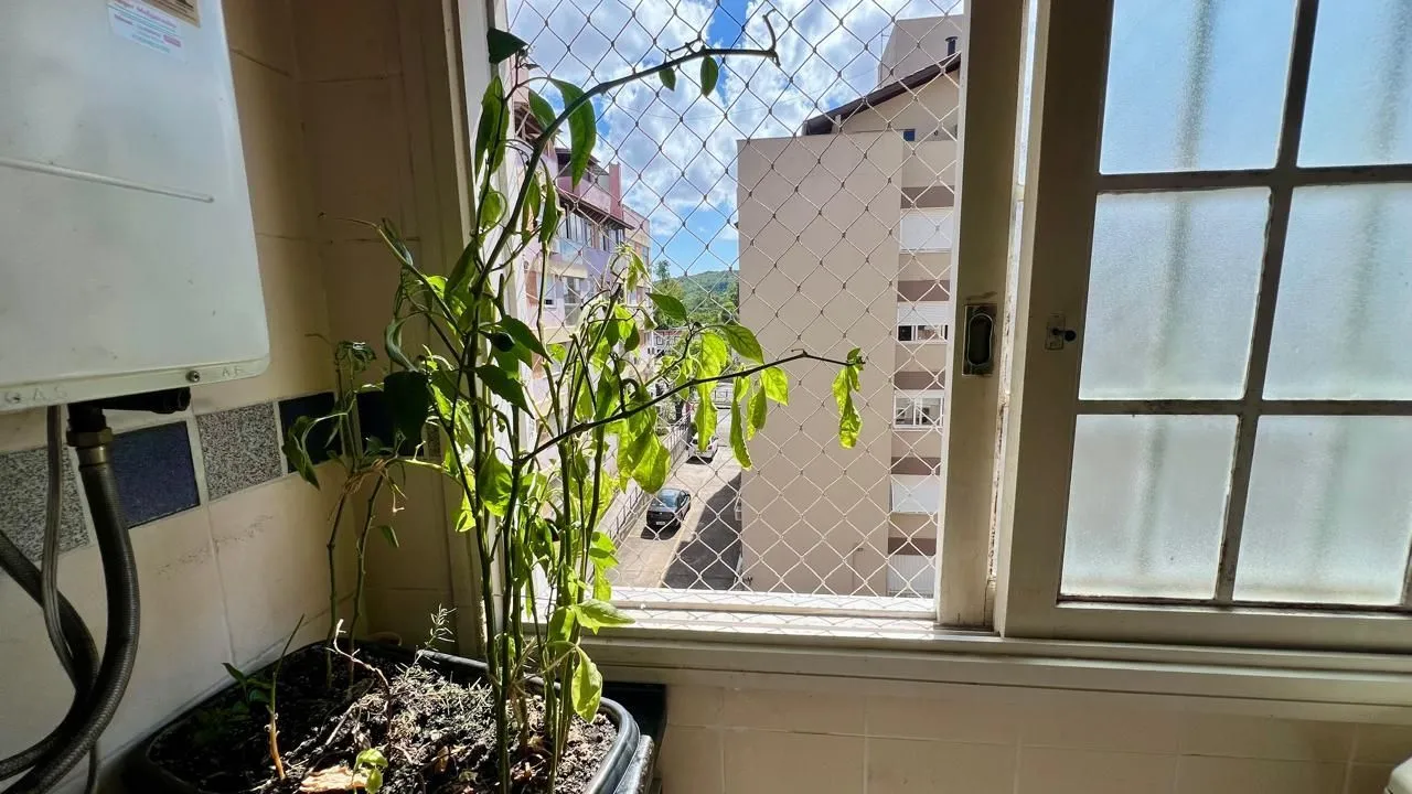 Imagem Apartamento 3 dormitórios 1 vaga 70m2 no bairro Cavalhada.