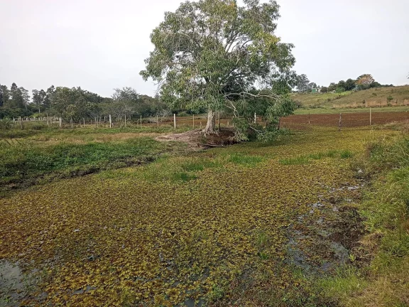 Imagem Área com 10.000m², com açudes, ótima localização, Águas Claras, Viamão