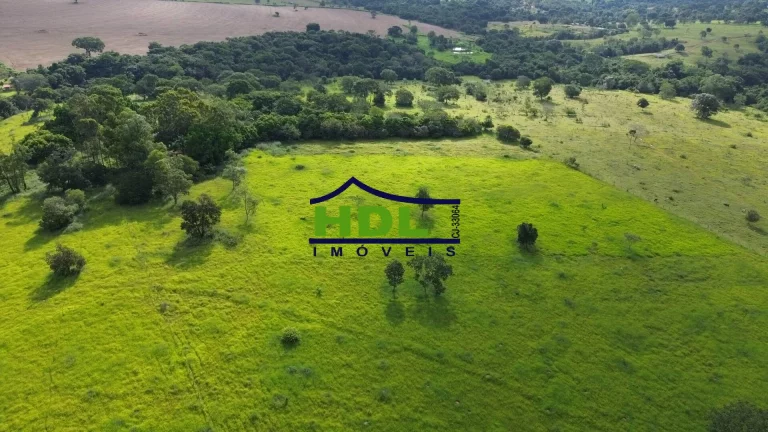 Imagem Fazenda 10 Alqs dupla aptidão em Hidrolândia