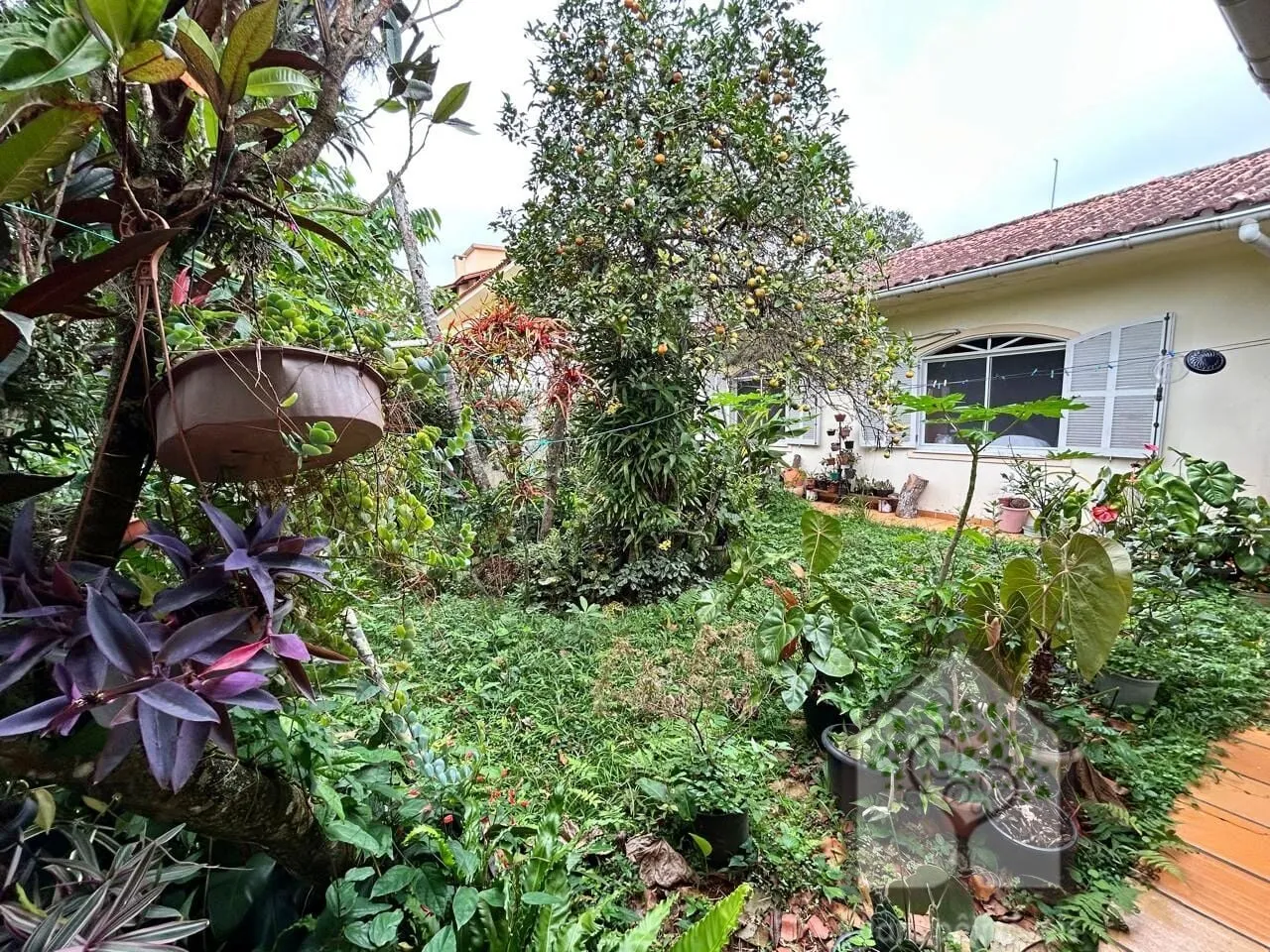 Imagem Casa com Quintal e Pomar Próxima à UFSC - Carvoeira, Florianópolis