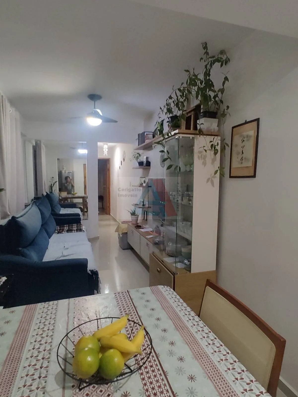 Imagem Apartamento a venda com 2 dormitórios no bairro Santa Maria em Santo André