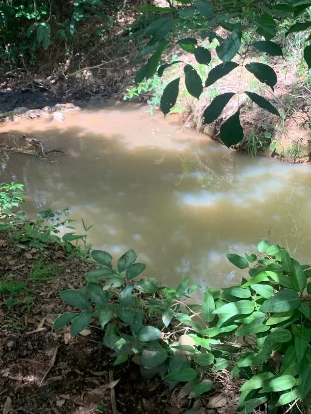 Imagem FAZENDA a venda 95ha em CURVELO/MG