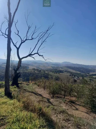 Imagem Terreno imperdível no Bairro do Livramento em Socorro-SP