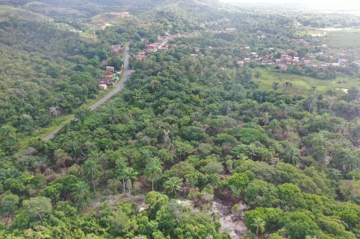 Imagem Terreno em Condomínio, 405m2, à venda em Jaguaripe, Mutá