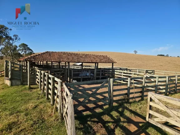 Imagem Fazenda a venda Capão Bonito SP