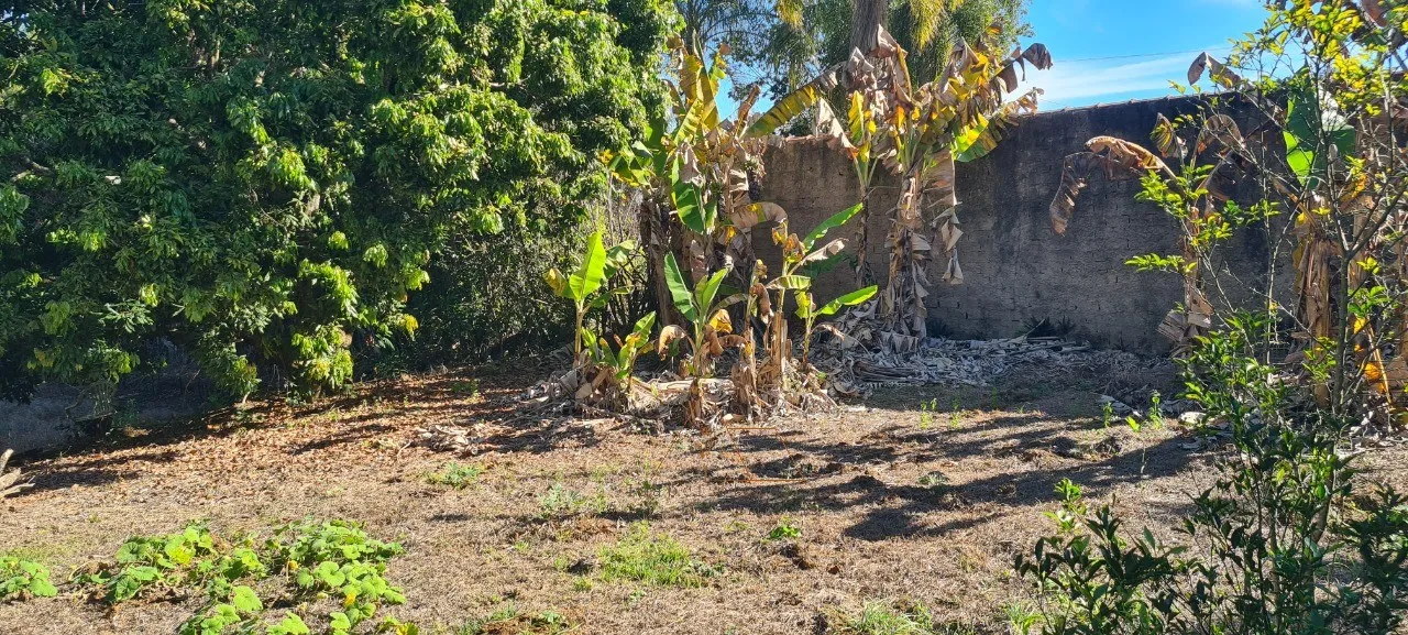 Imagem Chácara à venda em Quadra-SP, bairro Aleluia: 3 quartos, 1 sala, 2 banheiro, 120,00m² de área. Imperdível!