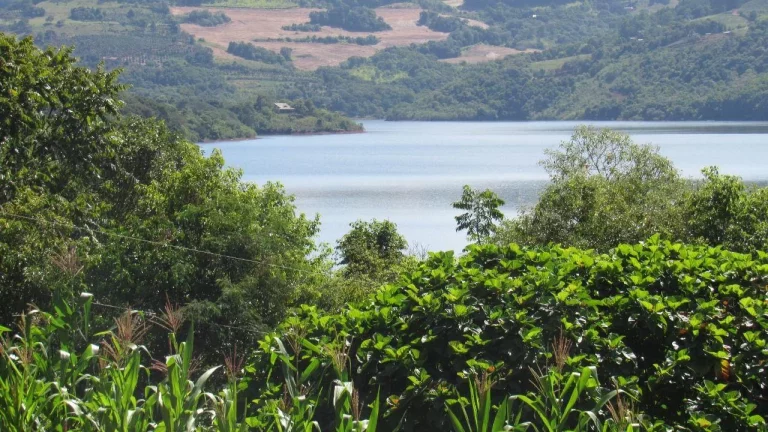 Imagem Terreno para Venda em Concórdia, Lageado Paulino