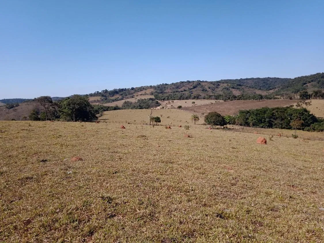 Imagem Vendo Excelente Fazenda em Bonfim/MG 90 hectares de terra