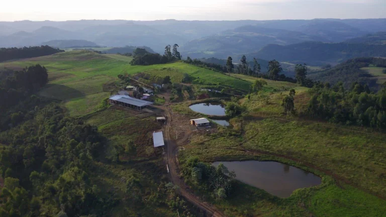 Foto do imóvel Área Agrícola para Venda em Concórdia, Interior em Sc-355