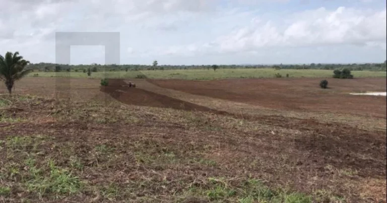 Imagem CASAL IMÓVEIS VENDE FAZENDA GOIANÉSIA DO PARÁ COM 3.533 HECTARES