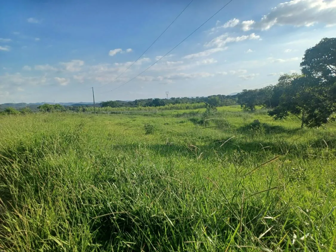 Imagem Vendo excelente fazendinha em Esmeraldas/MG 78 hectares de terra