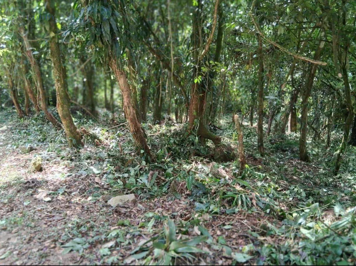 Imagem Excelente oportunidade em Ubatuba - Bairro da Figueira!