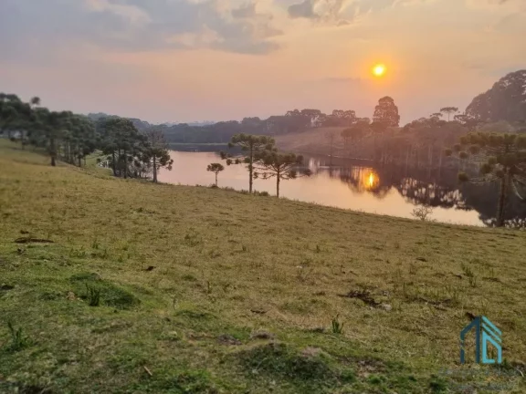 Imagem Sítio/Chácara a venda com 33 hectares bem localizado no interior de São Joaquim - SC