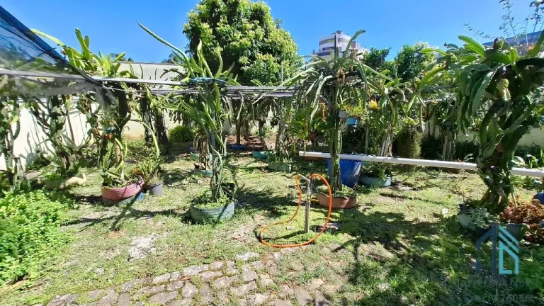 Imagem Casa com amplo terreno, a venda 04 quartos c/suíte no Seminário em Curitiba PR