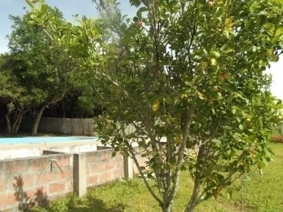 Imagem Sitio residencial em condomínio, Águas Claras / Viamão