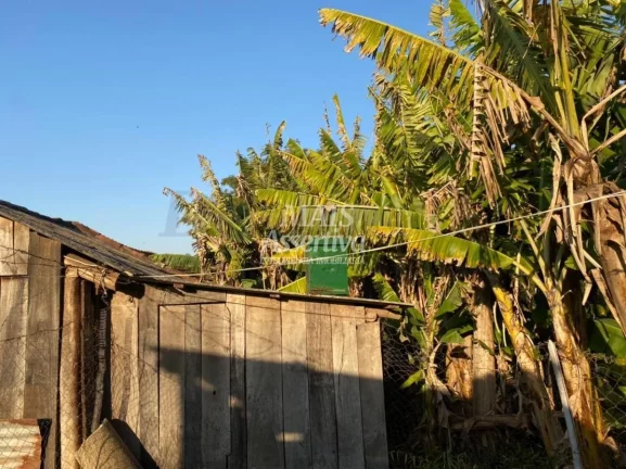 Imagem Sítio / Chácara 5 quartos para Venda no bairro Fazenda Fialho em Taquara