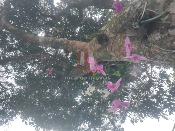 Imagem Casa Contemporânea Rio das Ostras à Venda