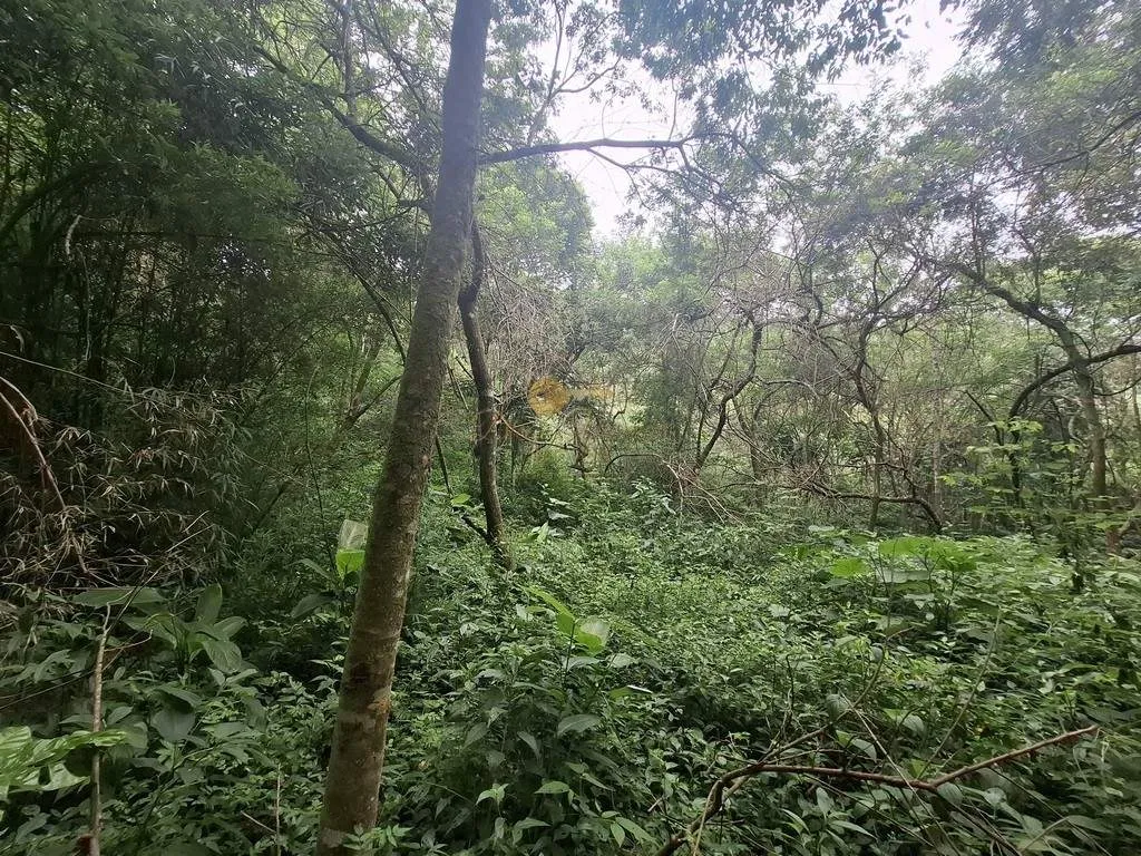 Imagem Terreno para Venda em Teresópolis / RJ no bairro Córrego das Pedras