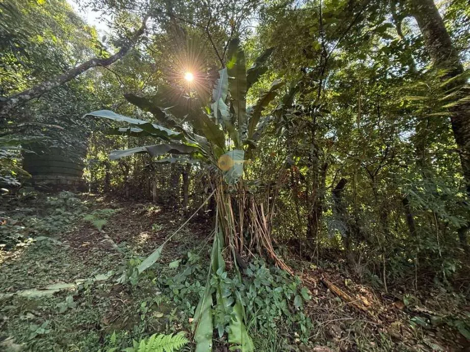 Imagem Terreno em Condomínio para Venda em Guapimirim / RJ no bairro Limoeiro