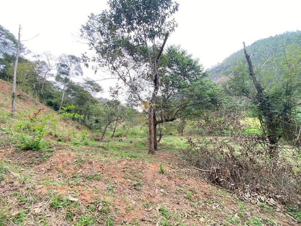 Imagem Terreno para Venda em Teresópolis / RJ no bairro Pessegueiros