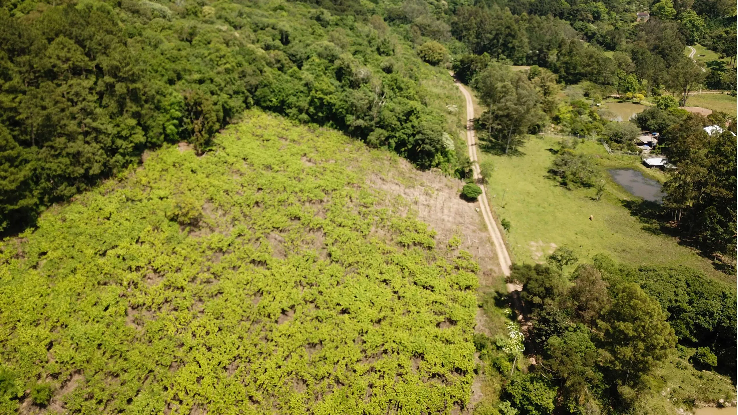Chácara à venda em Caxias do Sul, Centro, 20000m2