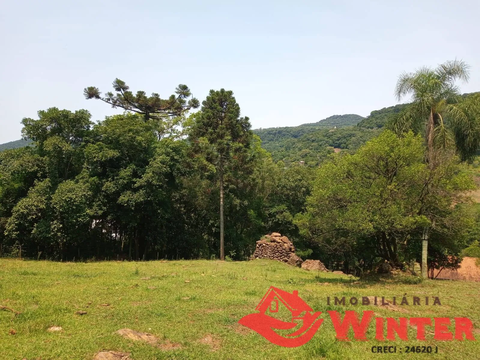 Imagem LIndo sítio com 7,2 hectares em Alto Feliz.