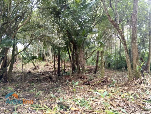 Imagem Área à venda, 4000 m² por R$ 1.200.000 - Região Central - Itapecerica da Serra/SP
