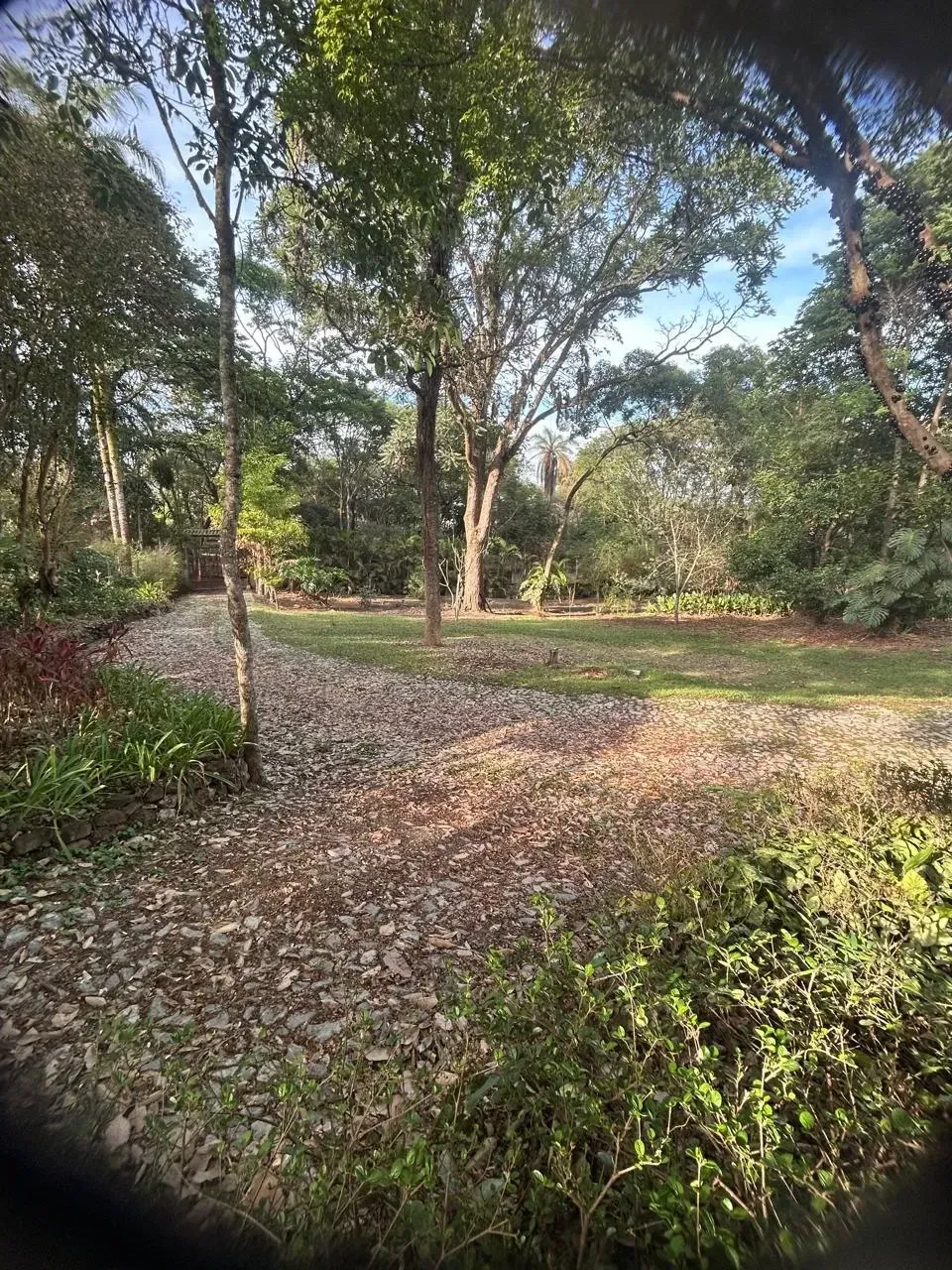 Imagem Sítio à Venda, 4700 metros em Parque Ipiranga - Betim