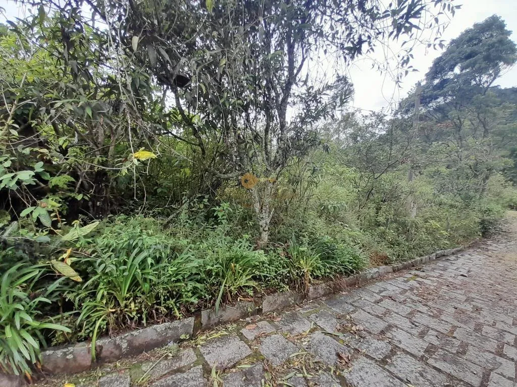 Imagem Terreno para Venda em Teresópolis / RJ no bairro Colônia Alpina