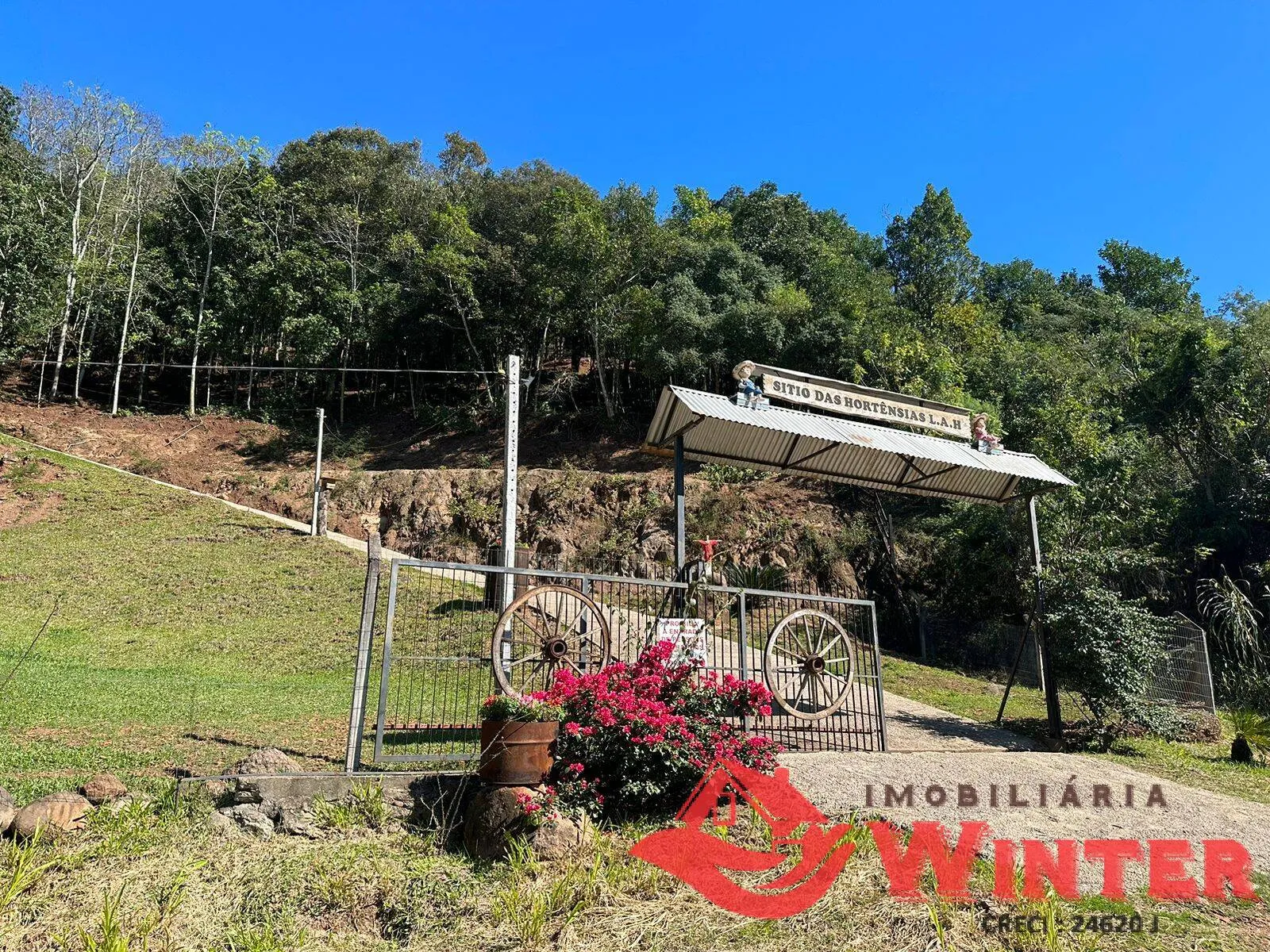 Imagem Area de terras com linda vista pra cidade de Feliz!