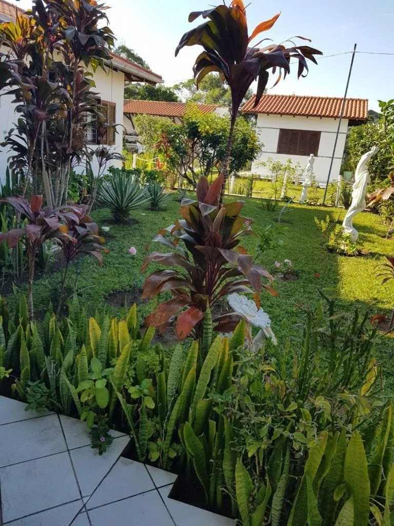 Imagem Casa em Povoado de Laranjeiras