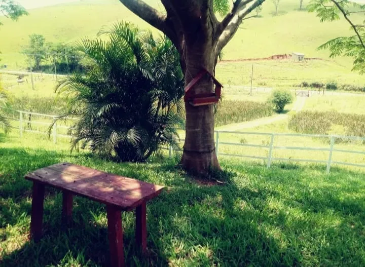 Imagem Sítio à Venda - 36.000m² com Casa de 273m² - Próximo à Cachoeira Grande, Ideal para Moradia ou Airbnb