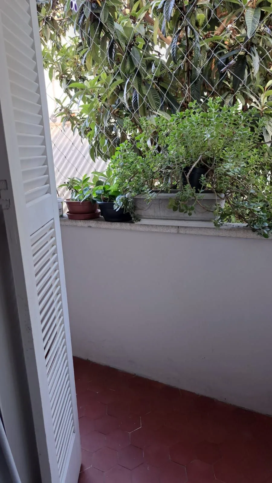 Imagem Apartamento a venda 2 dormitórios bairro Rio Branco