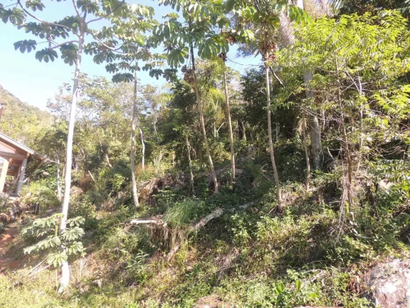 Imagem Terreno à Venda em Garopaba-SC, Praia da Gamboa, 973,63 m² de Área com Vista Mar!