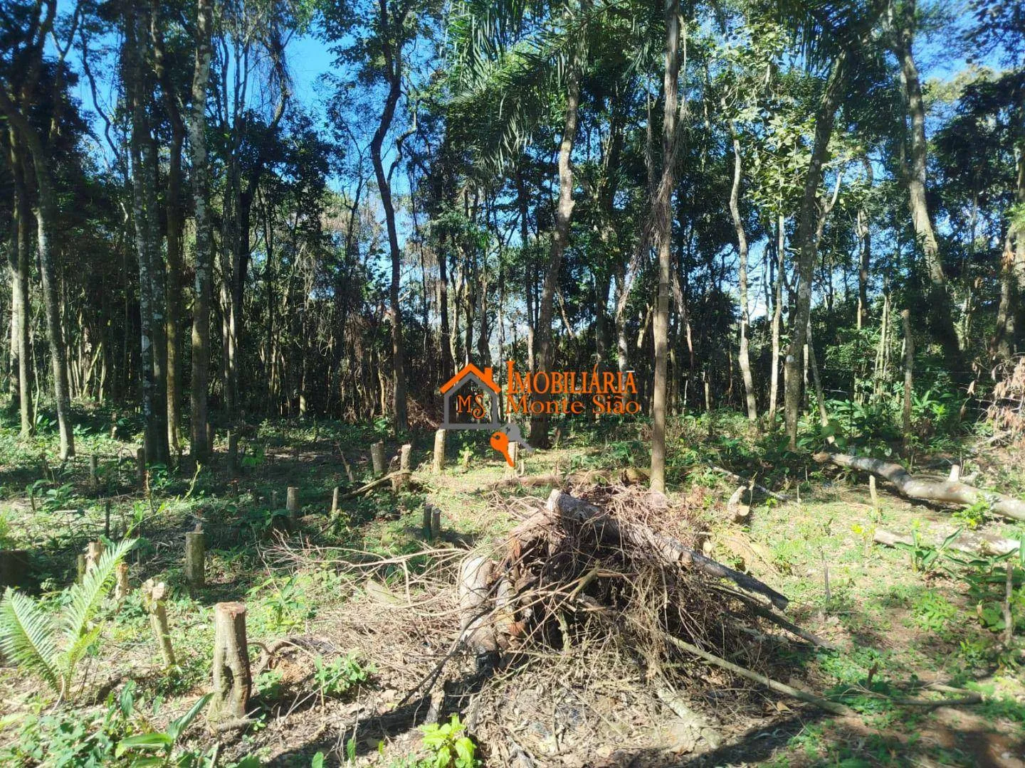 Imagem Terreno à venda, 3.068m² por R$ 212.000 - Parque Santos Dumont - Guarulhos/SP