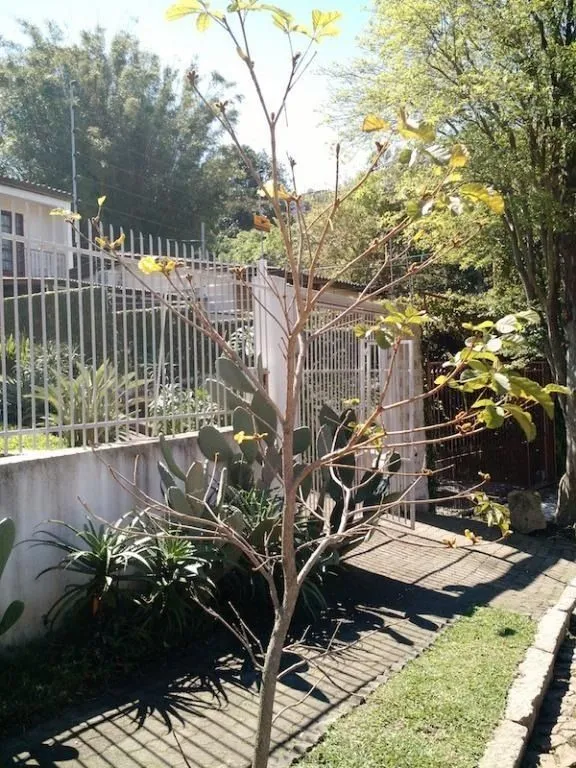 Imagem Casa para Venda - 217m², 3 dormitórios, sendo 1 suites, 3 vagas - Teresópolis