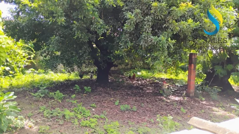 Imagem Sítio a venda no Mucuna em Maracanaú