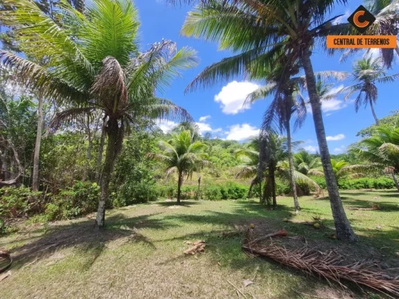 Imagem SITIO RURAL em CAMAÇARI - BA, JORRINHO